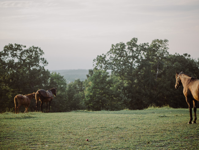 the_hill_hudson_valley_0060